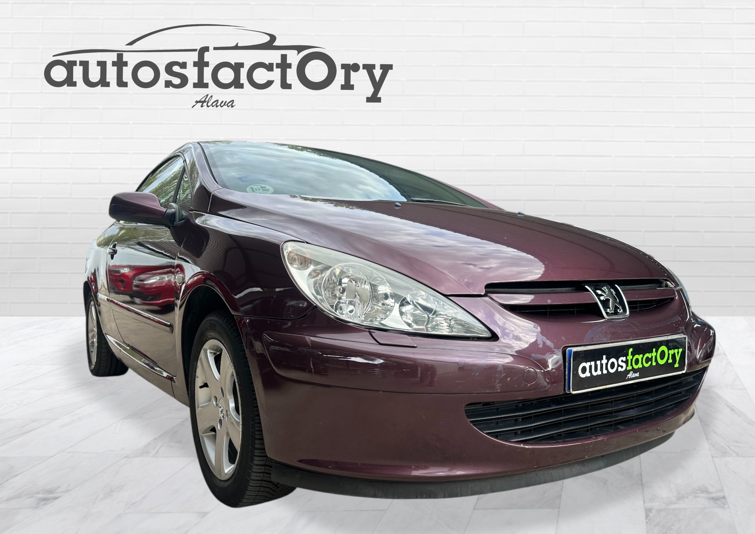 PEUGEOT 307