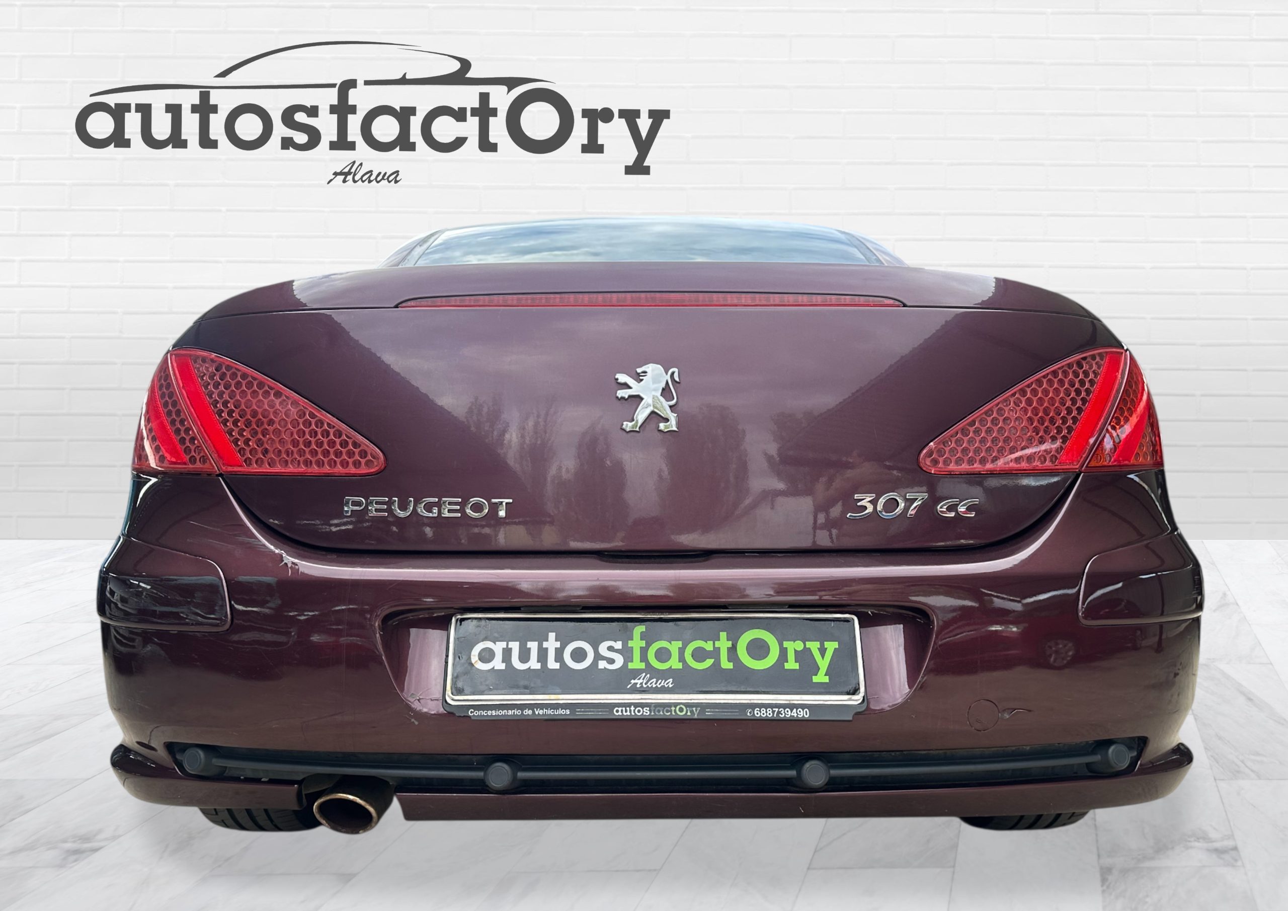 PEUGEOT 307
